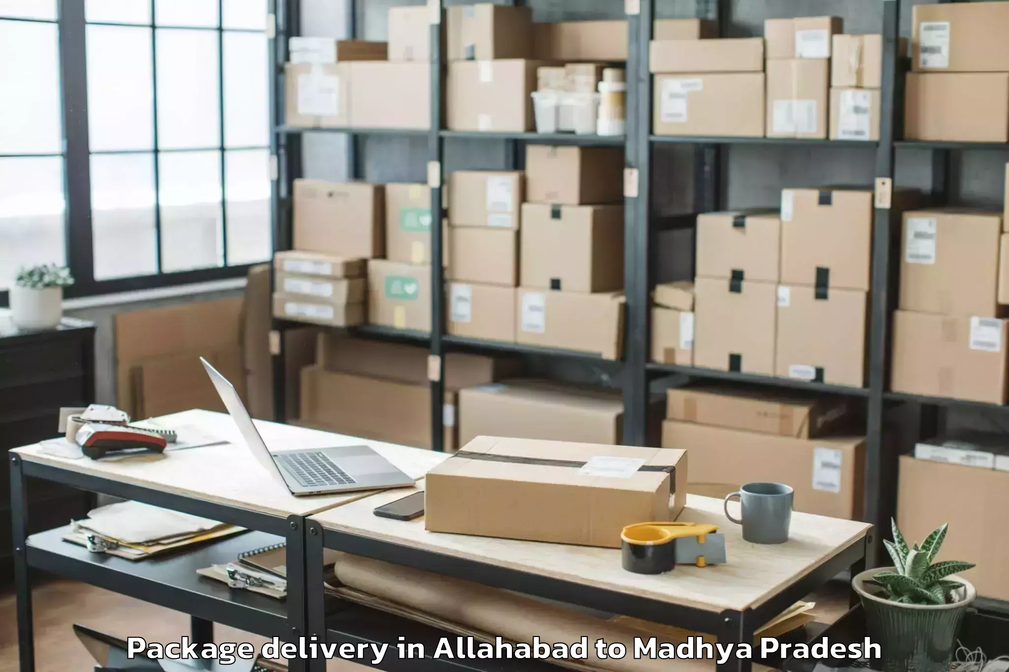 Professional Allahabad to Dhamnod Package Delivery